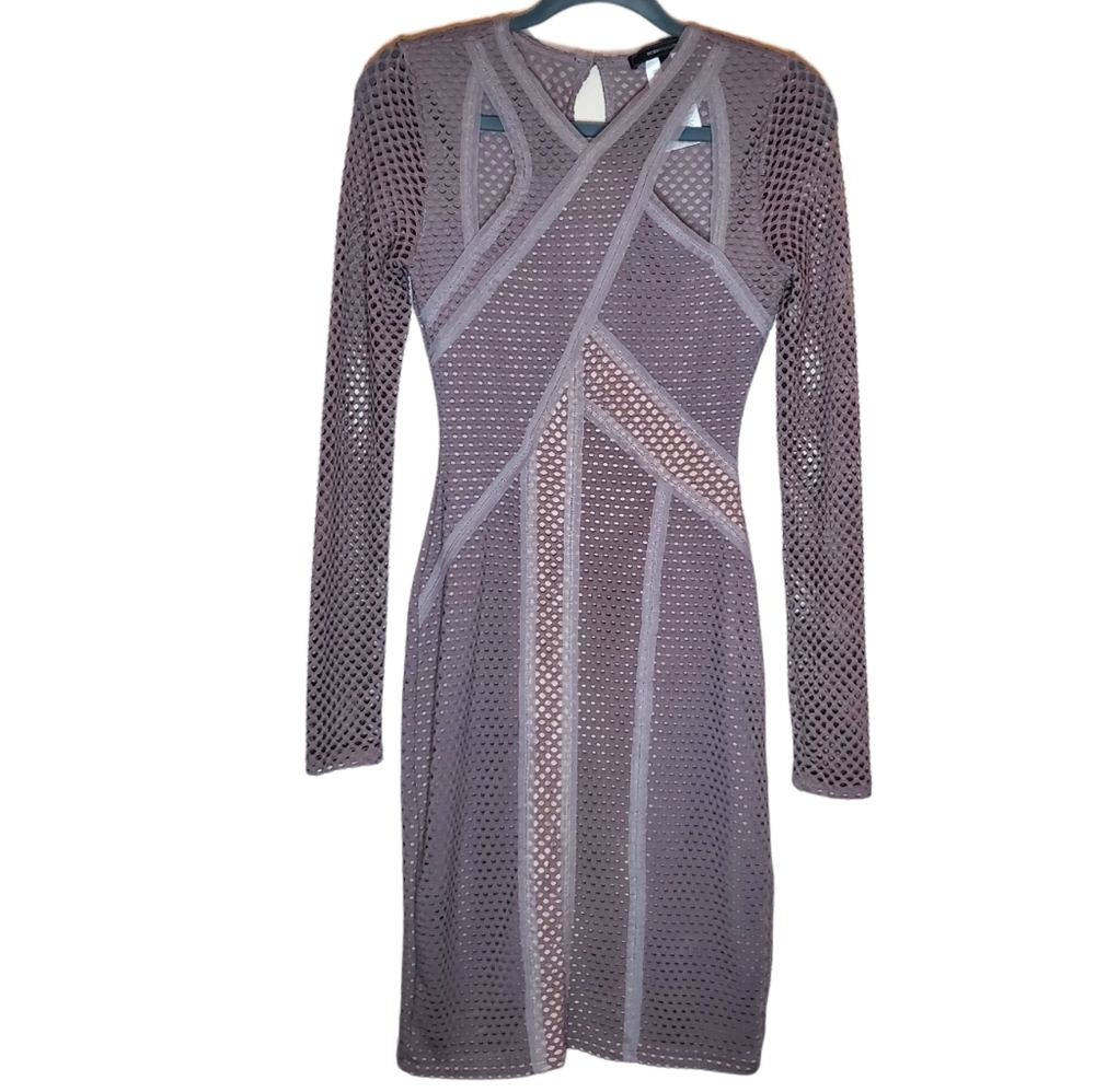 BCBG Mesh Net Bodycon Dress